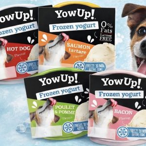 🐾 YowUP – Yaourt glacé pour chien