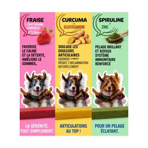 HimaCrocs Superfood- les Snacks traditionnels de l’Himalaya en mieux